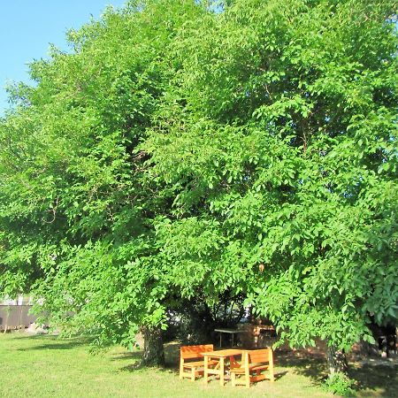 Pod Orehi Bed and Breakfast Postumia Esterno foto