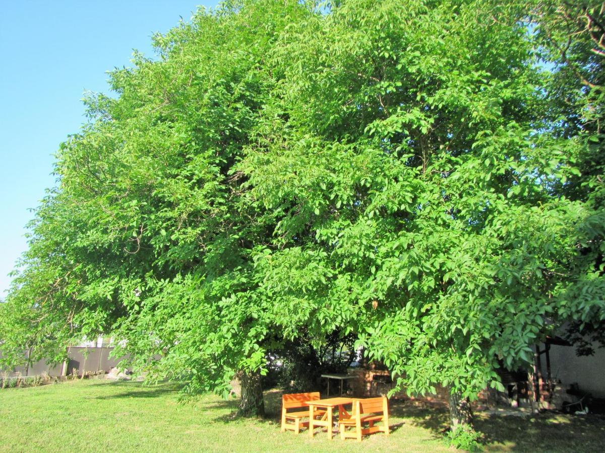 Pod Orehi Bed and Breakfast Postumia Esterno foto