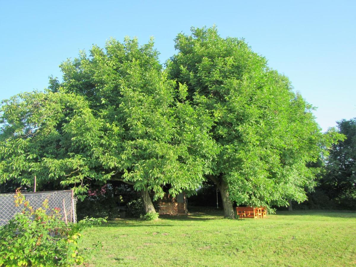 Pod Orehi Bed and Breakfast Postumia Esterno foto