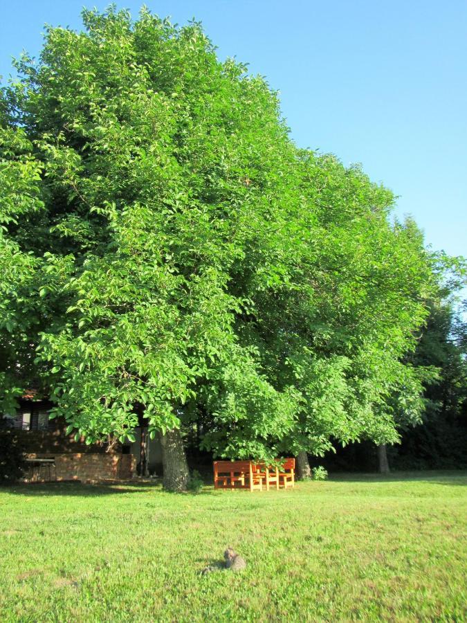 Pod Orehi Bed and Breakfast Postumia Esterno foto